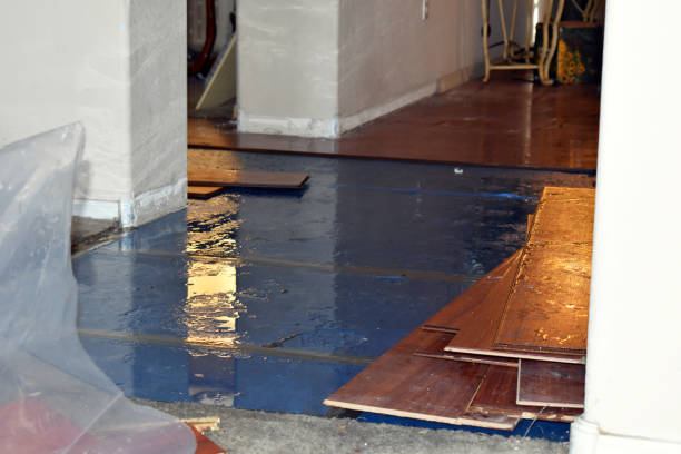 Professional Basement Flood Cleanup technician working in Shelby, OH